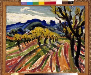 Olajfák mezője az Alpilles-ban (olaj, vászon)