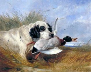 „Kutya vadkacsával”, 19. század
