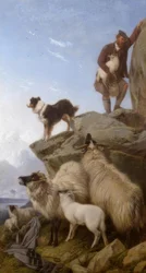R.Ansdell, A kóbor bárány / festmény, 1868