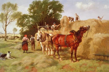 A szénakaszálók