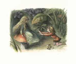 Tündér elutasította az elf herceget egy gombagombon (litográfia)