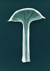 Cím nélkül, 2003