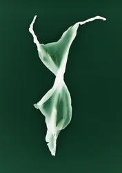 Cím nélkül, 2004