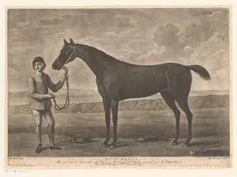 Racepaard találkozott zsokéval holland