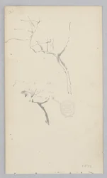Fa