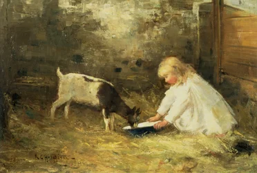 A gyerek