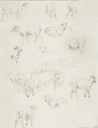 Birkanyáj, 1794 után (grafit)