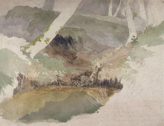 Forest Pool (wc grafit felett, papíron)