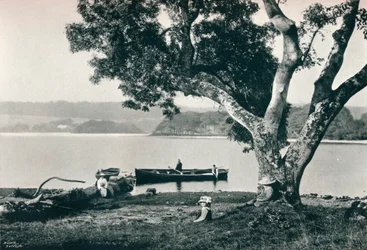 Church Island, Lough Gill, Sligo, 1908
