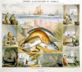 Hal, c1850