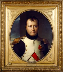 Napóleon Bonaparte portréja, 19. század