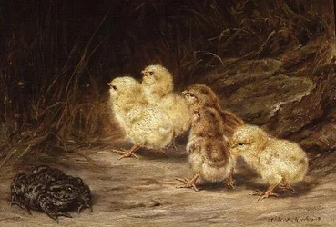 Csibék és Varangy