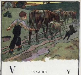 Gyermekkönyv „” El fogom olvasni – Módszeres és szórakoztató ábécé egy apától””” 1926. Illusztráció: Robert Salles (1871-1929). Abecedary: V betű, mint tehén. Egy fiú segít egy kutyán, egy tehéncsordát hajt a mezőre.