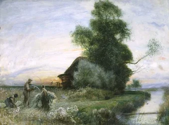 Gallyak gyűjtése