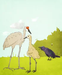 Gus Gus And The Corvid, 2020 (digitális)