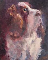 Romeo, 2015 (olaj, tábla)