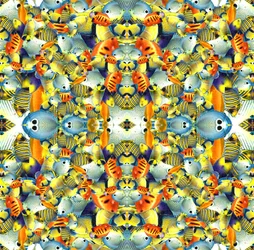 Kaleidoszkóp hal csempe