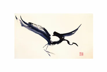 Repülő Tinta Daru