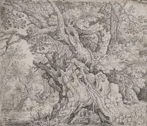 Göcsörtös fa, kb. 1608-09.