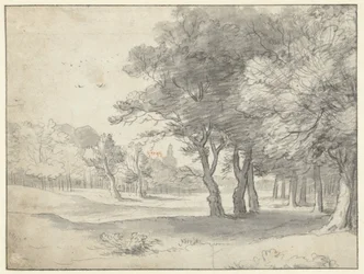 Kilátás a Haagse Bos-ban, a Grote Kerk-el, Hágában, a távolban
