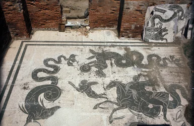 Ősi Ostia (Ostia). Place des Corporations. A Sabratha Seafarers Corporation mozaikja. Neptunusz fürdői.