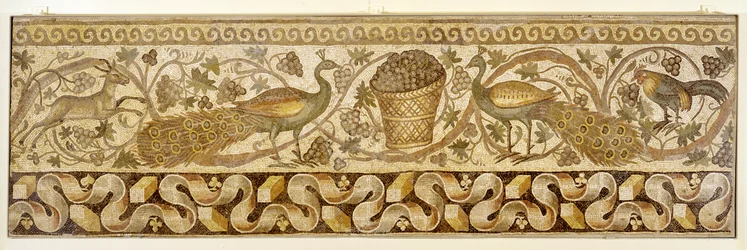 Szőlőinda-szegélyt pávákkal ábrázoló mozaik, Antiókhia, 526-540
