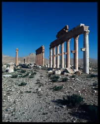 Kilátás a Palmyra maradványokról (Fotó)