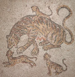 Tigris és kölykök, 300-as évek