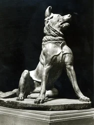 Bullmasztiff kutya (márvány)