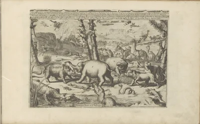 Aziatische en afrikaanse dieren Aziatische en Afrikaanse dieren / Ázsia és Afrika állatai (cím a tárgyon) Kelet- és Nyugat-India és más helyek (sorozat címe)