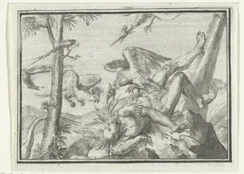 A füzet címlapja: De Geplukte Tapoeijer, 1702 De Plukte Tapoeijer (cím az objektumon) Esopus Európában (sorozat címe)