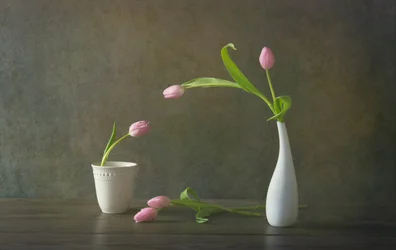 Elegáns rózsaszín tulipánok csendélet