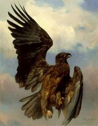 A sebesült sas, 1870 körül