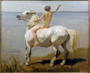 Fiú fehér lovon
