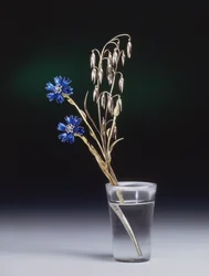 Búzavirágok és kalászok, Faberge Műhely, 1880-as évek