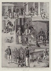 Egy új hobbi iskolás fiúknak, a Kennel Club a Clayesmore Schoolban, Enfieldben