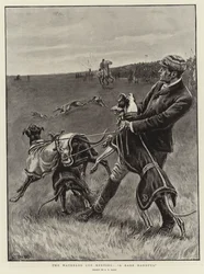 A Waterloo Kupa találkozó, Egy ritka maroknyi