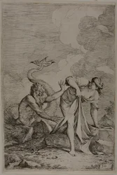 Glaucus és Scylla