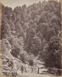 Simla. Kilátás északra a Jakko-hegyre