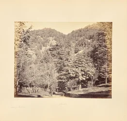 Simla; Jakko, a "Oakover"-ből (általános nézet a Tonga útról)
