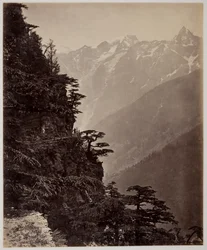 Névtelen