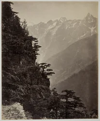 Cím nélkül [domboldal és hegyek], c. 1865.