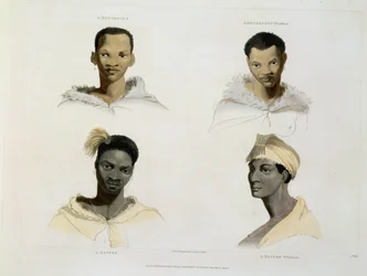 Egy hottentotta, egy hottentotta nő, egy kaffre, egy kaffre nő: négy fej- és vállmatrica, 14-es tábla az „Afrikai tájak és állatok”-ból, a művész által metszett, 1804 (akvatinta)