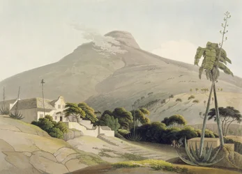Az Oroszlánfej képe, 28-as tábla az „Afrikai tájak és állatok”-ból, a művész által metszett, 1805 (akvatinta)