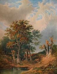 Táj, 1847