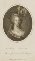 Marie Antoinette, Franciaország és Navarra királynője