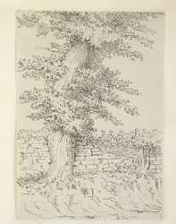 Hozzáadás. MS 15546 Am Elm Tree, Bedminster
