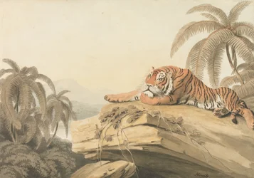 Pihenő tigris: az „Oriental Field Sports” előképe