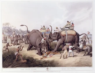 A holt tigris; A tigris halála, 1807