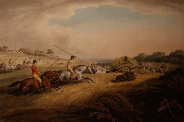 The Hog Chase – Across Fields, az 